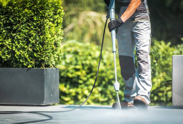 Best Driveway Pressure Washing  in Fort Mckinley, OH